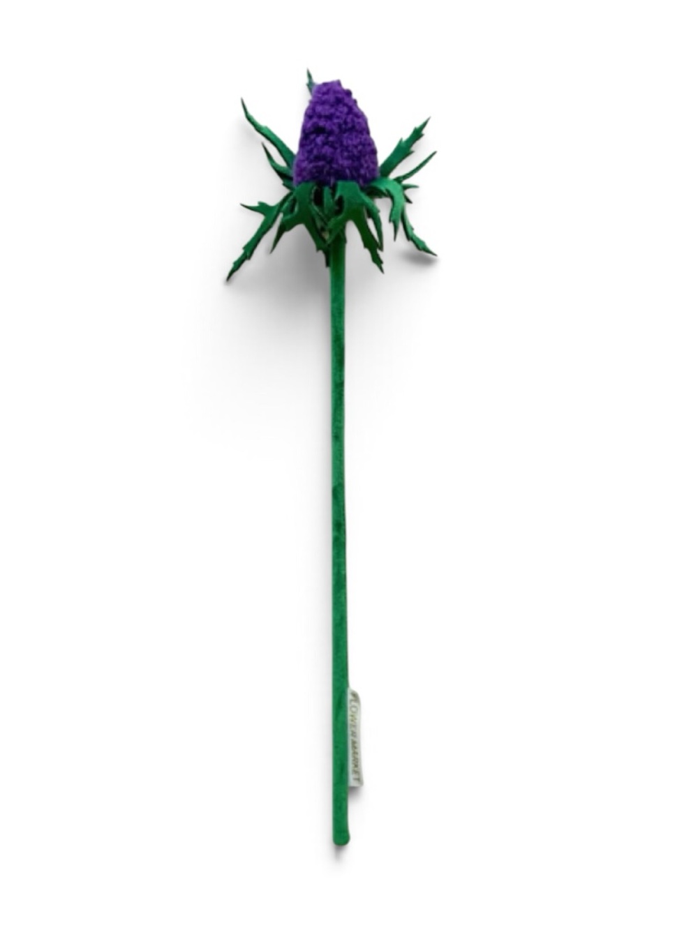 CJ Hendry Flower Market Star Thistle